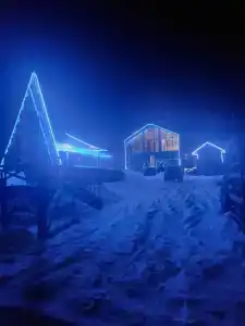 Белая Панда - 1