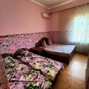 Янтарь - 46