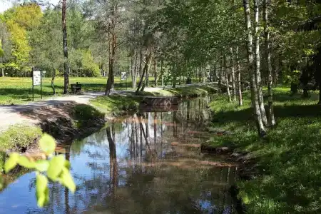 Старая Русса - 21
