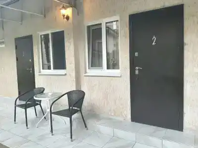 Кипарис - 12