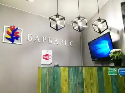 Барбарис - 1