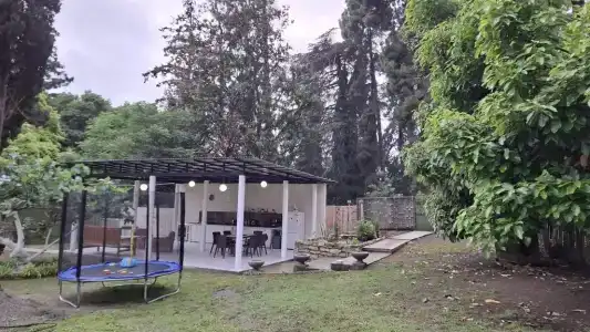 Кипарис - 20