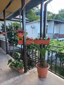 Стелла - 3
