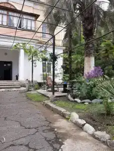 Кипарис - 45