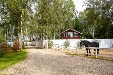 Тиффани делюкс - 13