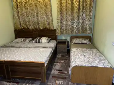 Алиса - 11