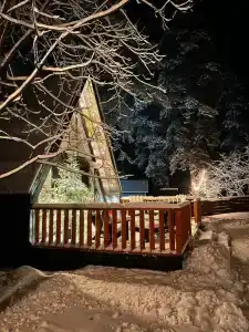 Шишкарное - 5
