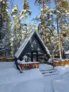 Шишкарное - 15