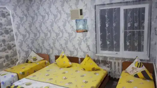СемьЯ - 23