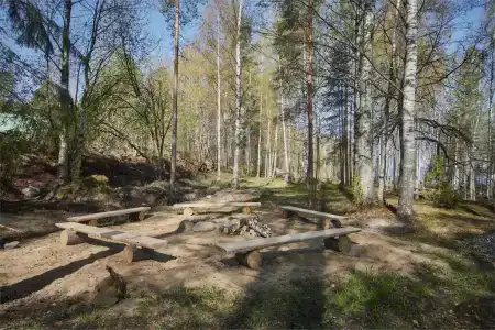 Царевичи - 146