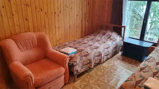 Царевичи - 166