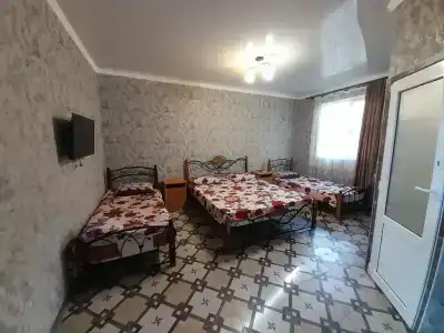 Гостевой дом у Софии и Аика - 7