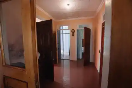 Сингер - 47