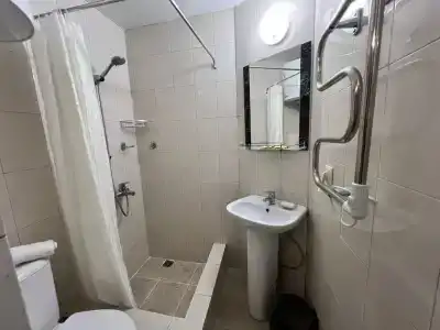 Сингер - 56