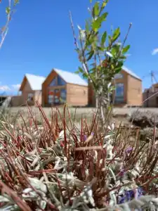 Family home (Фэмили хоум) - 6