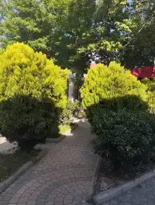 Corner - 8