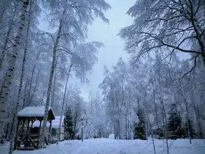 Великое озеро - 3