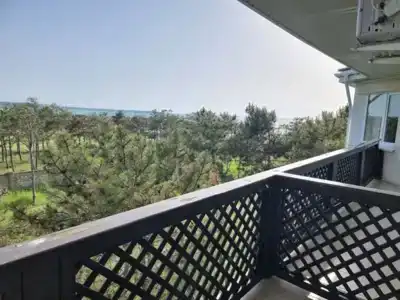 Песчаный берег - 109