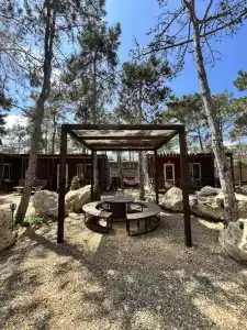 Песчаный берег - 133