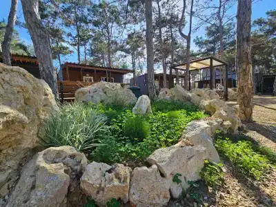 Песчаный берег - 142