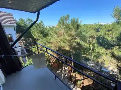 Песчаный берег - 145