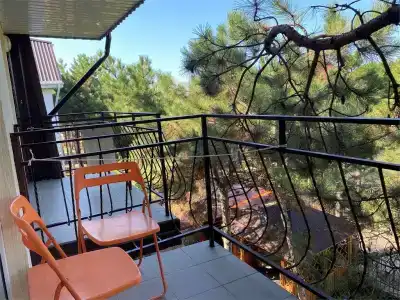 Песчаный берег - 146