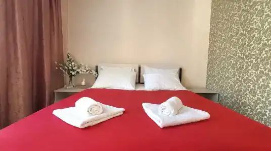 Бонум - 29