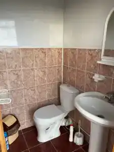 Персиковый сад - 21