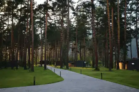 Хвоя в горах - 67