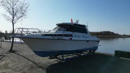 Баракат - 6