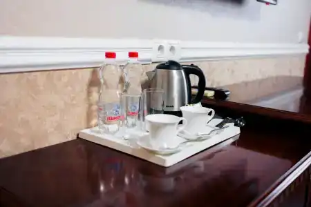 Эдельвейс - 68
