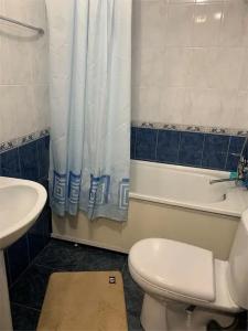 Петровск - 110