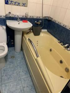 Петровск - 117