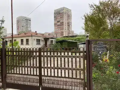 Эльвира - 18