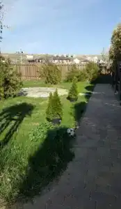 Берег Мечты - 5