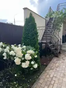 Палладион - 4