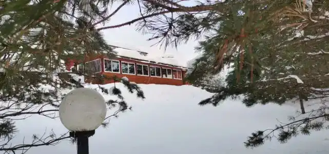 Заполек - 6
