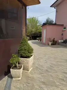 Розовый Фламинго - 13