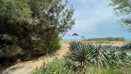 КристОля - 1