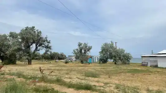 КристОля - 2