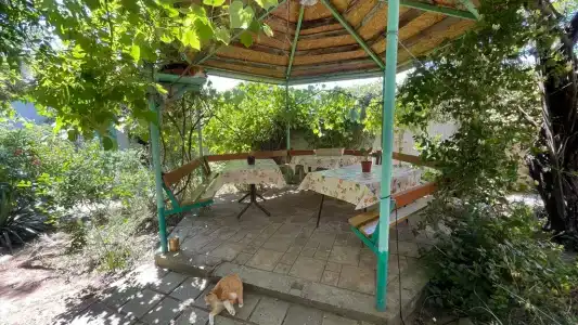 КристОля - 3