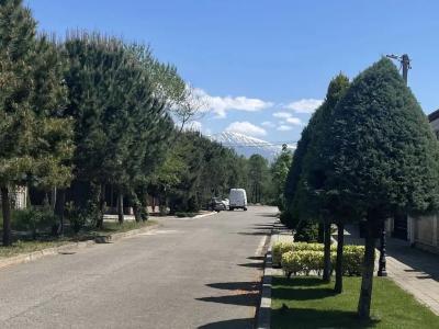 Аристократ - 43