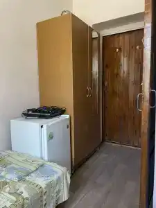 Аист - 88