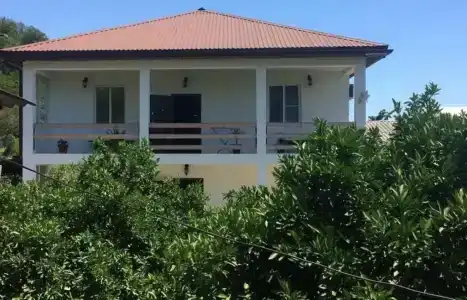 Paradise - 0