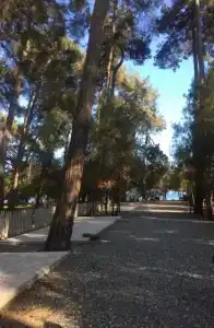 Paradise - 4