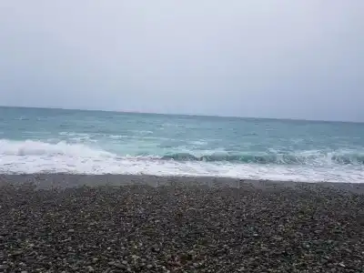 Paradise - 6