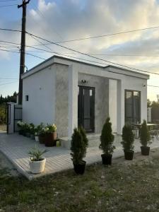Paradise на Адамия - 0