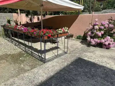 Лика-Ника - 96