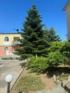 Юлия с бассейном - 5