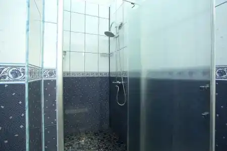 Серый Гусь - 21